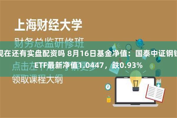 现在还有实盘配资吗 8月16日基金净值：国泰中证钢铁ETF最新净值1.0447，跌0.93%