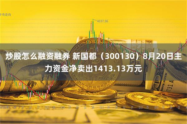 炒股怎么融资融券 新国都（300130）8月20日主力资金净卖出1413.13万元