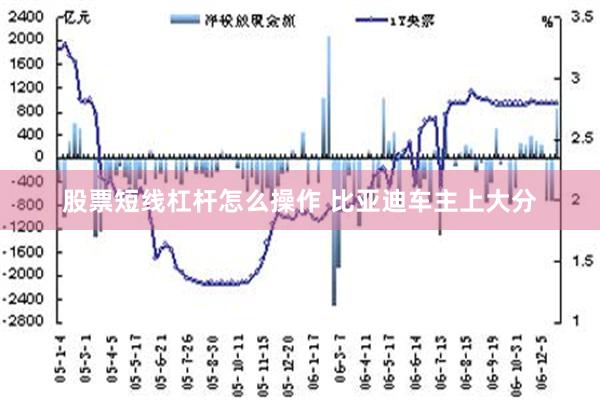 股票短线杠杆怎么操作 比亚迪车主上大分