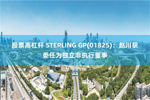 股票高杠杆 STERLING GP(01825)：赵川获委任为独立非执行董事