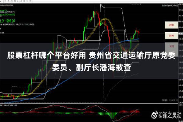 股票杠杆哪个平台好用 贵州省交通运输厅原党委委员、副厅长潘海被查