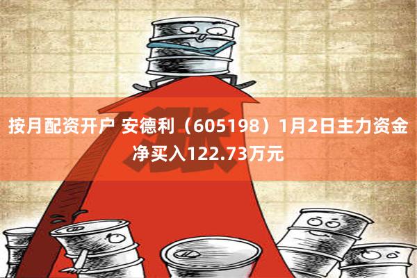 按月配资开户 安德利（605198）1月2日主力资金净买入122.73万元