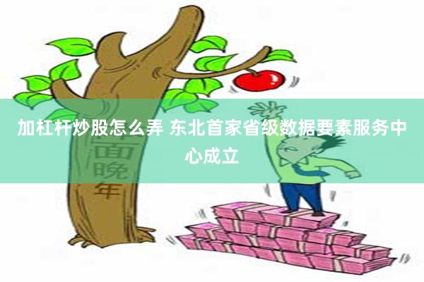 加杠杆炒股怎么弄 东北首家省级数据要素服务中心成立