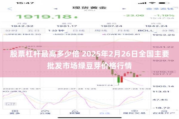 股票杠杆最高多少倍 2025年2月26日全国主要批发市场绿豆芽价格行情