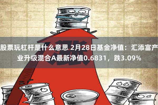 股票玩杠杆是什么意思 2月28日基金净值：汇添富产业升级混合A最新净值0.6831，跌3.09%